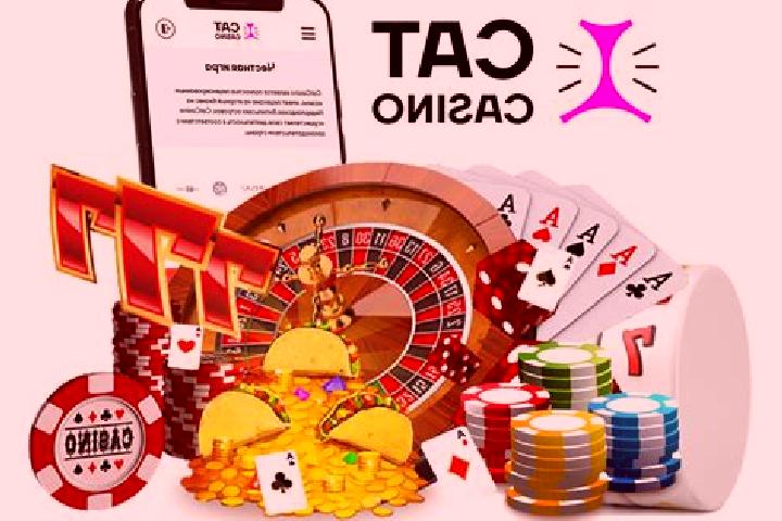 Cat Casino